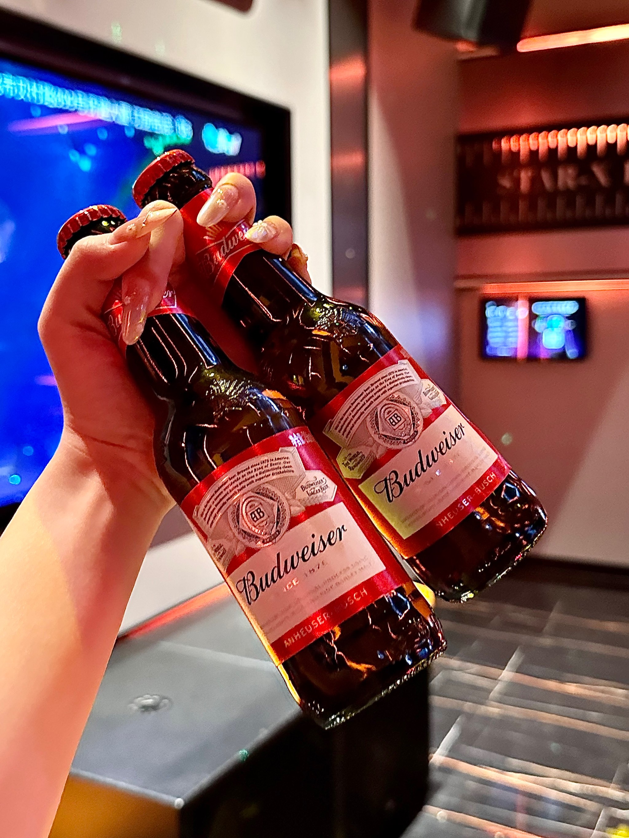 铁岭商务ktv，独享单人商务ktv服务-银州区ktv预定